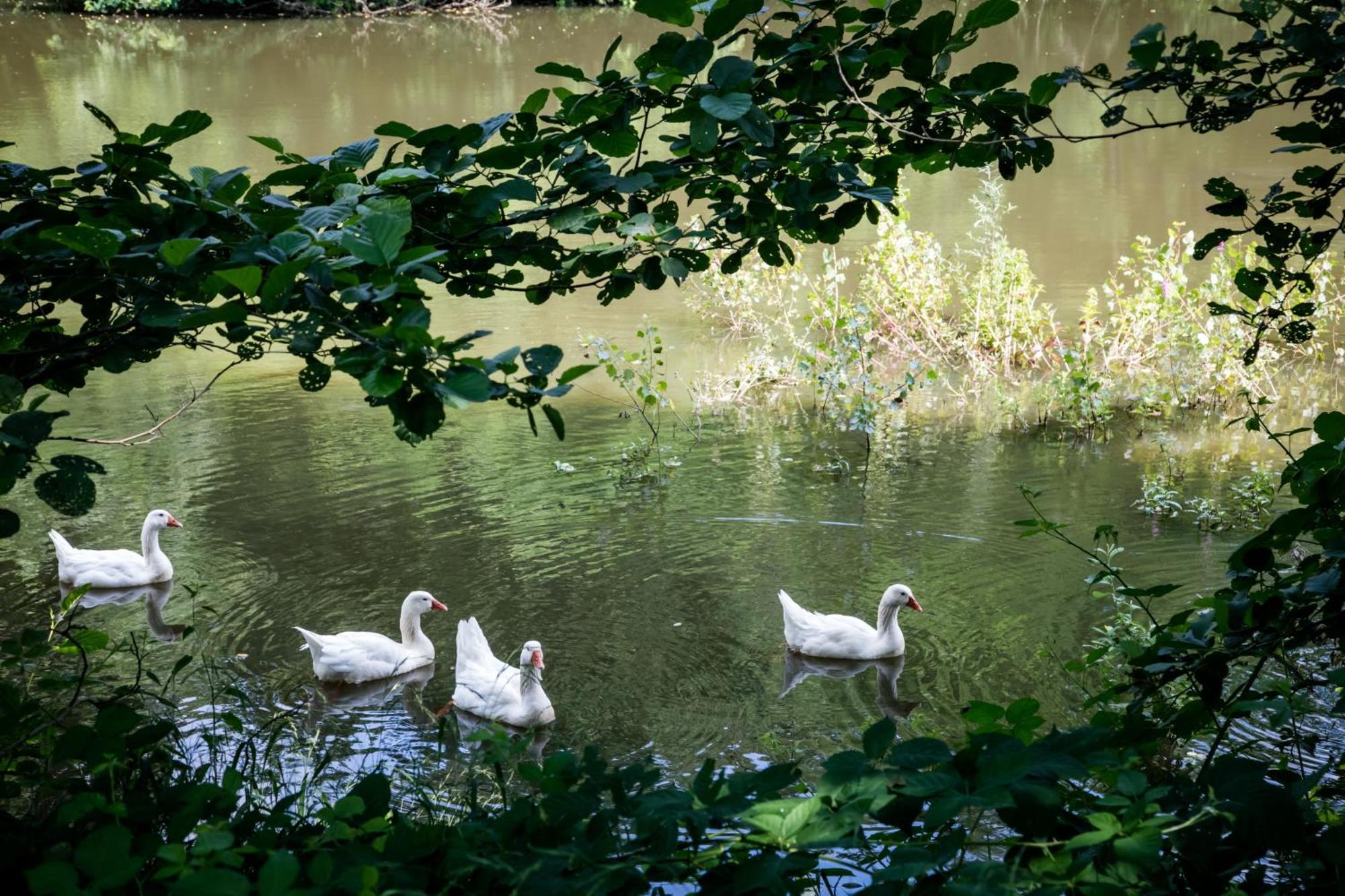 Agriturismo Parco Campofelice Bed & Breakfast Lombardore ภายนอก รูปภาพ