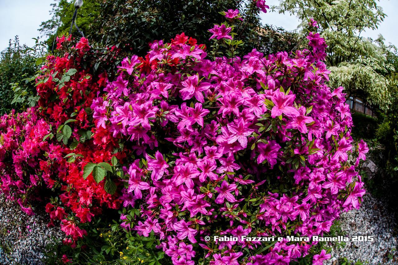 Agriturismo Parco Campofelice Bed & Breakfast Lombardore ภายนอก รูปภาพ